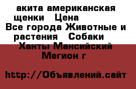 акита американская.щенки › Цена ­ 75 000 - Все города Животные и растения » Собаки   . Ханты-Мансийский,Мегион г.